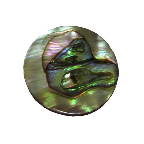 Insignia 24mm 24-0561 "Abalone in Resin"