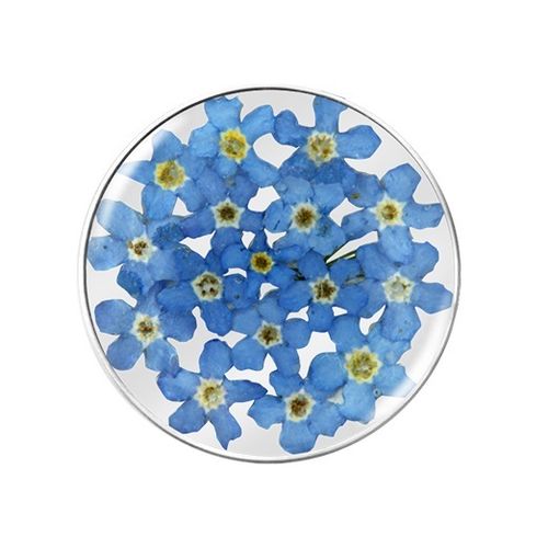 Insignia 24mm 24-1177 Flora blue