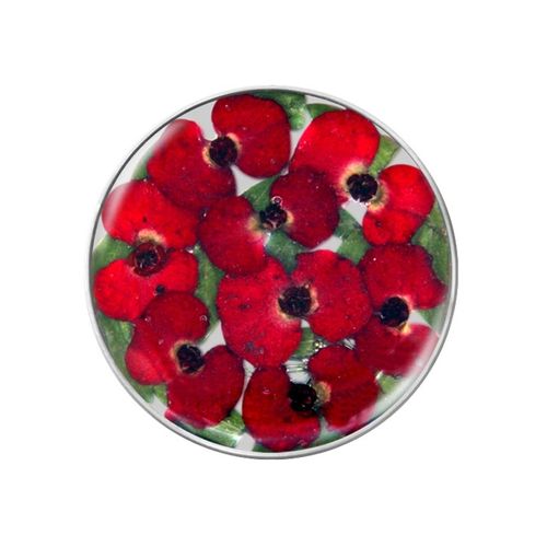 My imenso Insignia 24mm 24-1175 Flora Rot