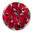 Insignia 33mm 33-1175 Flora Red