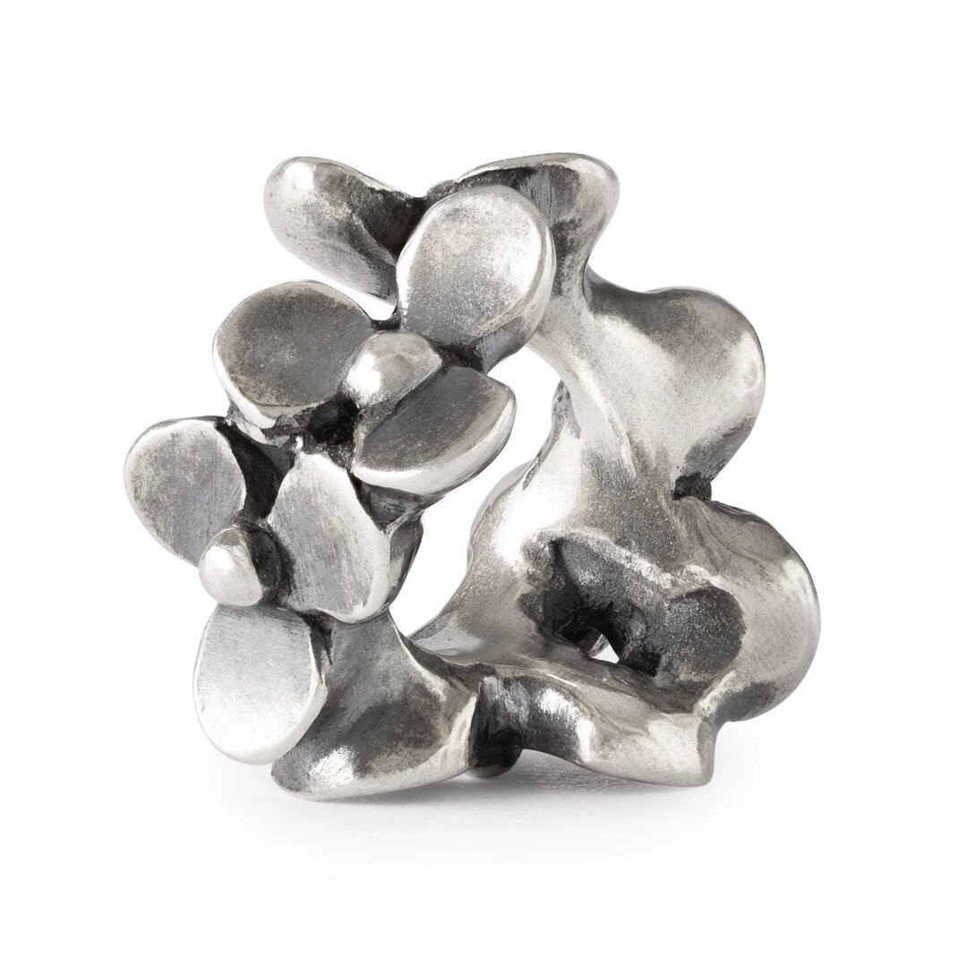 trollbeads_silberbead_tagbe_00 trollbeads_silberbead_tagbe_00