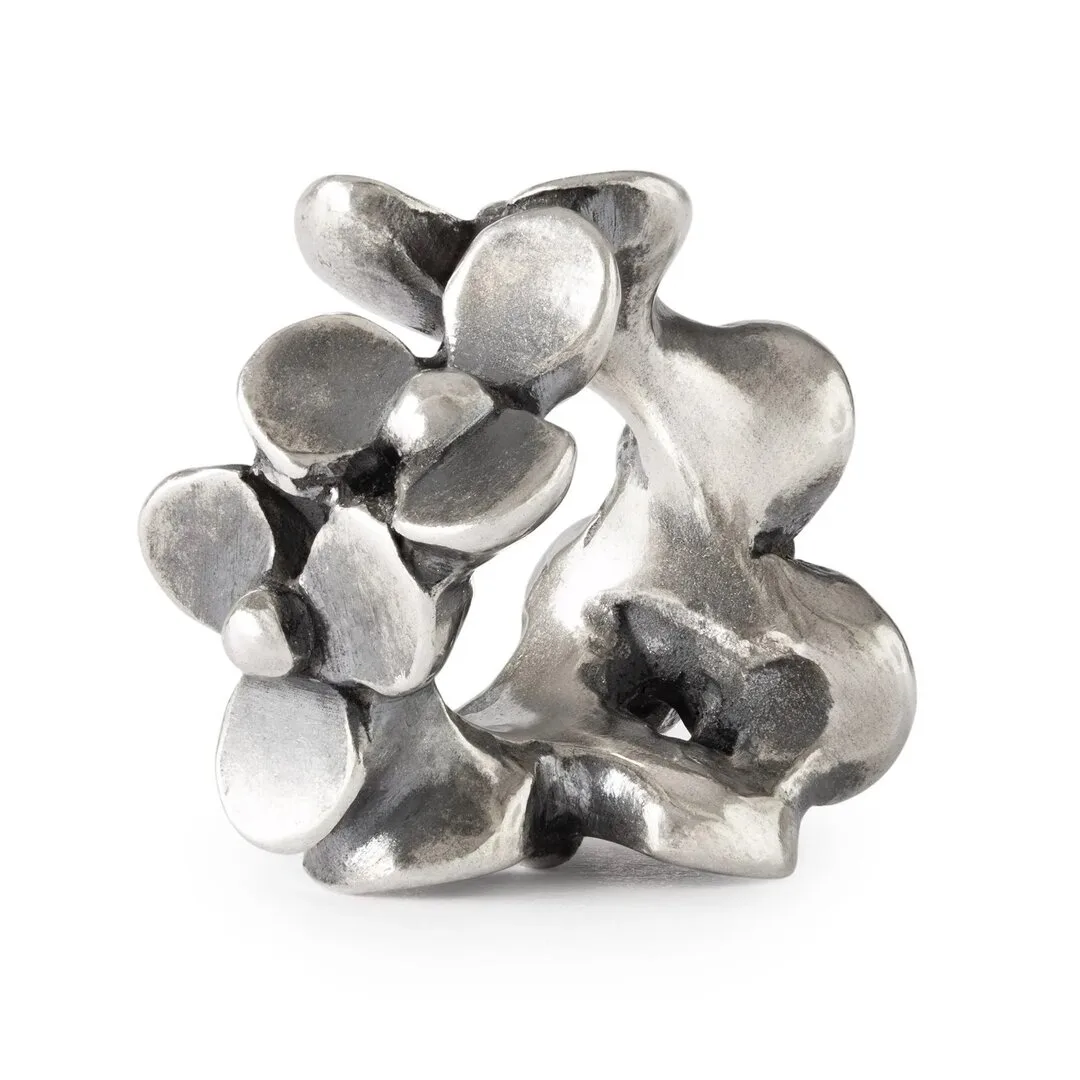 trollbeads_silberbead_tagbe_00
