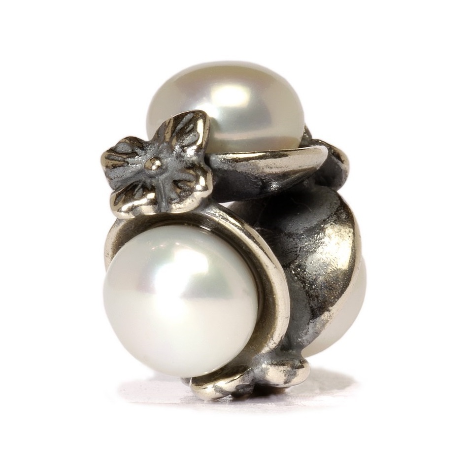 trollbeads_silberbead_tagbe_00