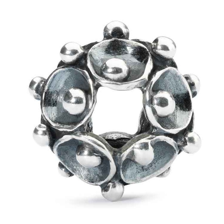 trollbeads_silberbead_tagbe_30