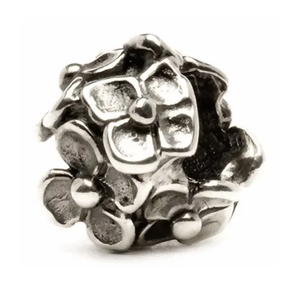 trollbeads_silberbead_tagbe_10