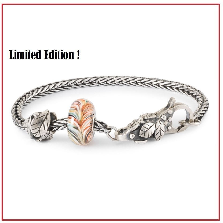 trollbeads_silber_armband_tagb