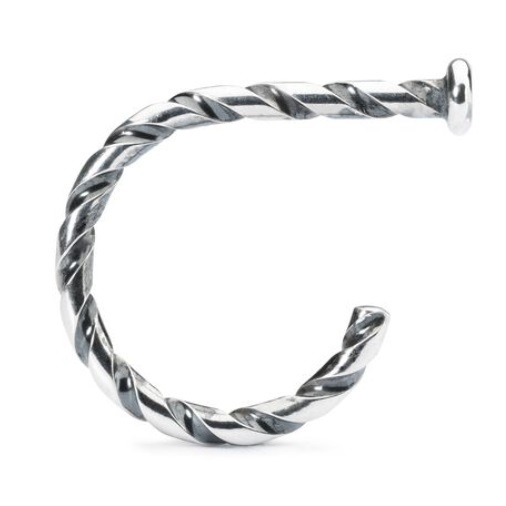 trollbeads_gedrehter_ring_of_c